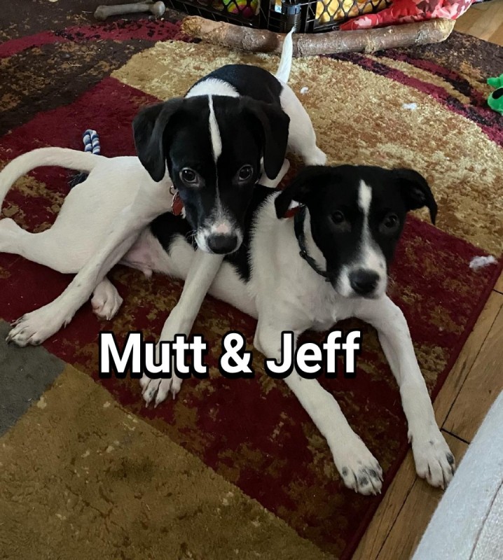 Mutt & Jeff