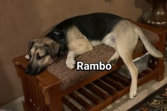 Rambo